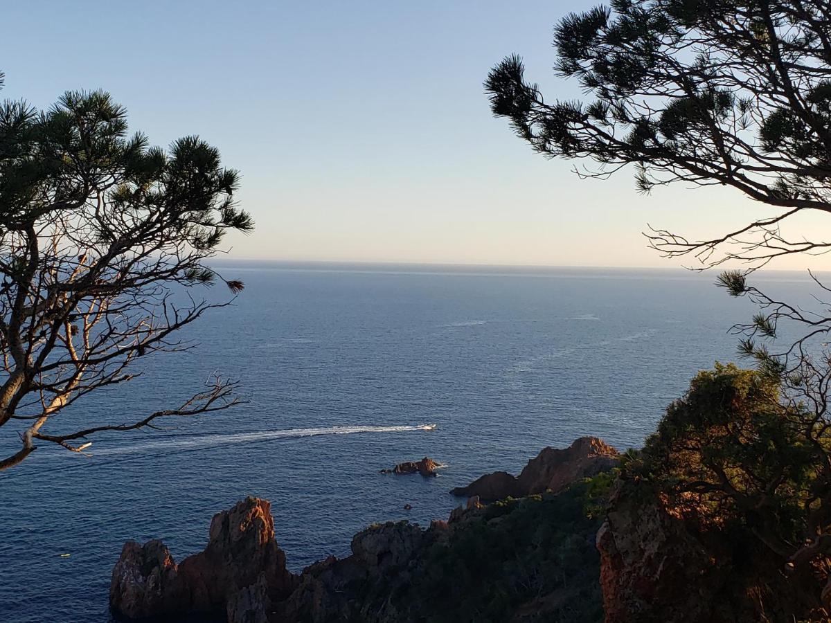 Appartement T2, Piscine, Parking, Plages à 200m